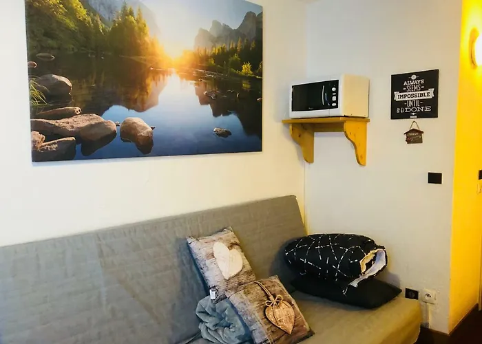 Апартаменты Les Deux Alpes Studio